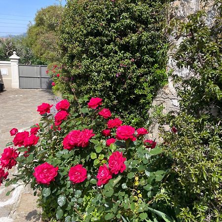 Les Trefles Apartment Hyères Екстериор снимка